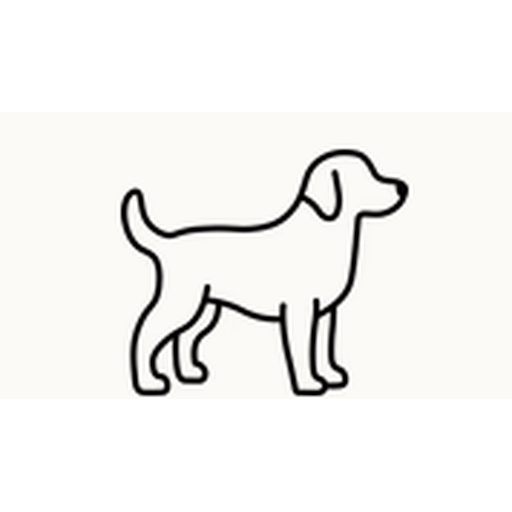 Happy Dog Surf Shop